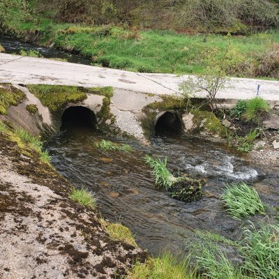 20210524_103420 20210524_103420