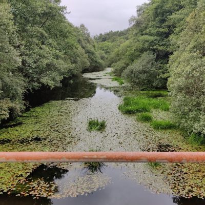 Planning & Permitting Planning & Permitting