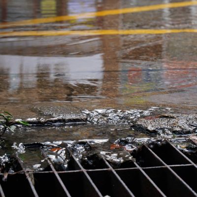 Service – Surface Water Service - Surface Water